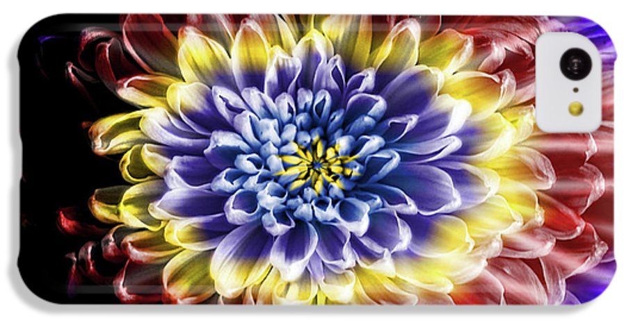 Rainbow Chrysanthemum #1 - Phone Case