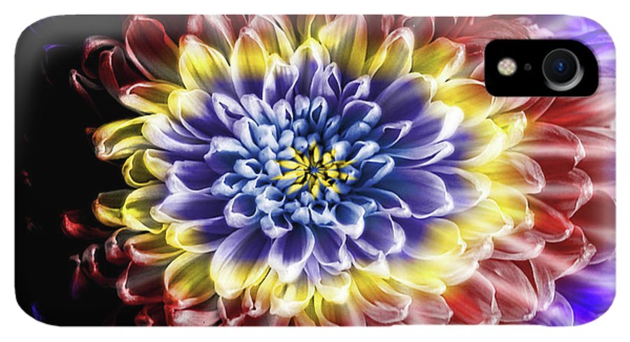 Rainbow Chrysanthemum #1 - Phone Case