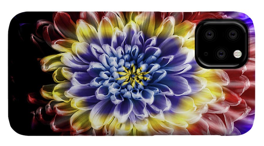 Rainbow Chrysanthemum #1 - Phone Case