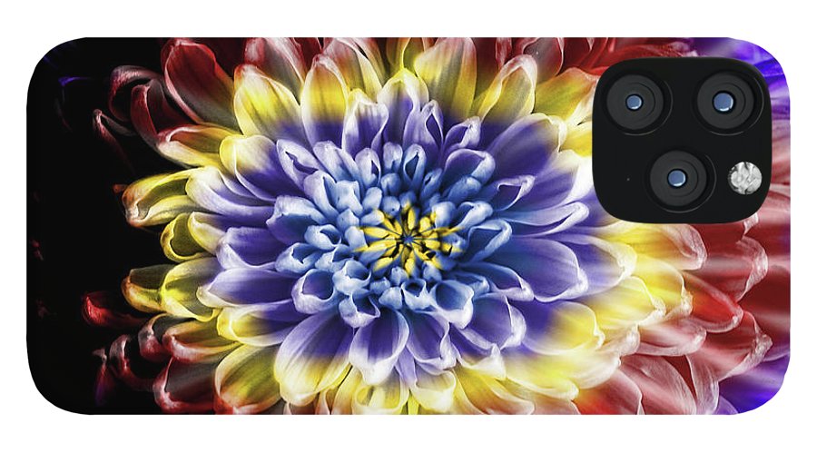 Rainbow Chrysanthemum #1 - Phone Case