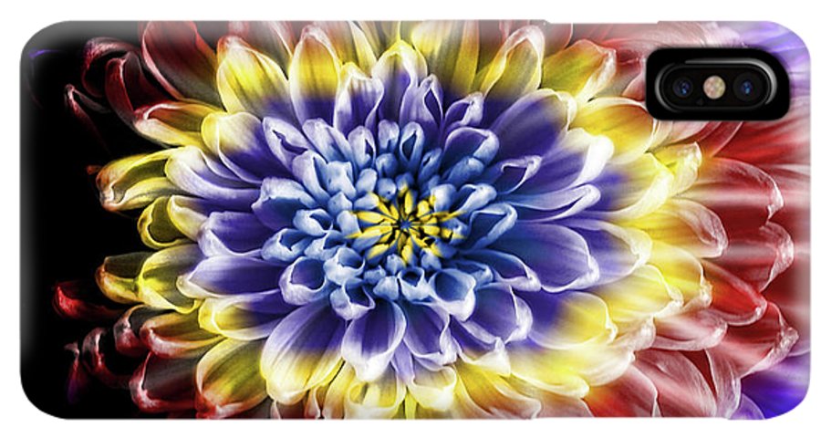 Rainbow Chrysanthemum #1 - Phone Case