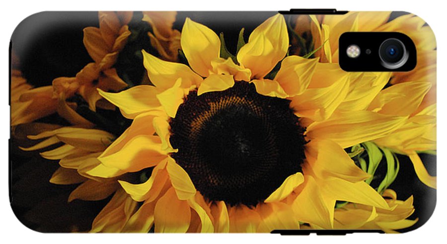 Sunflowers - Phone Case
