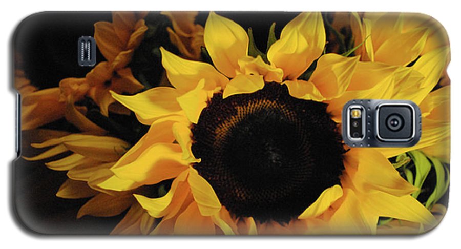 Sunflowers - Phone Case