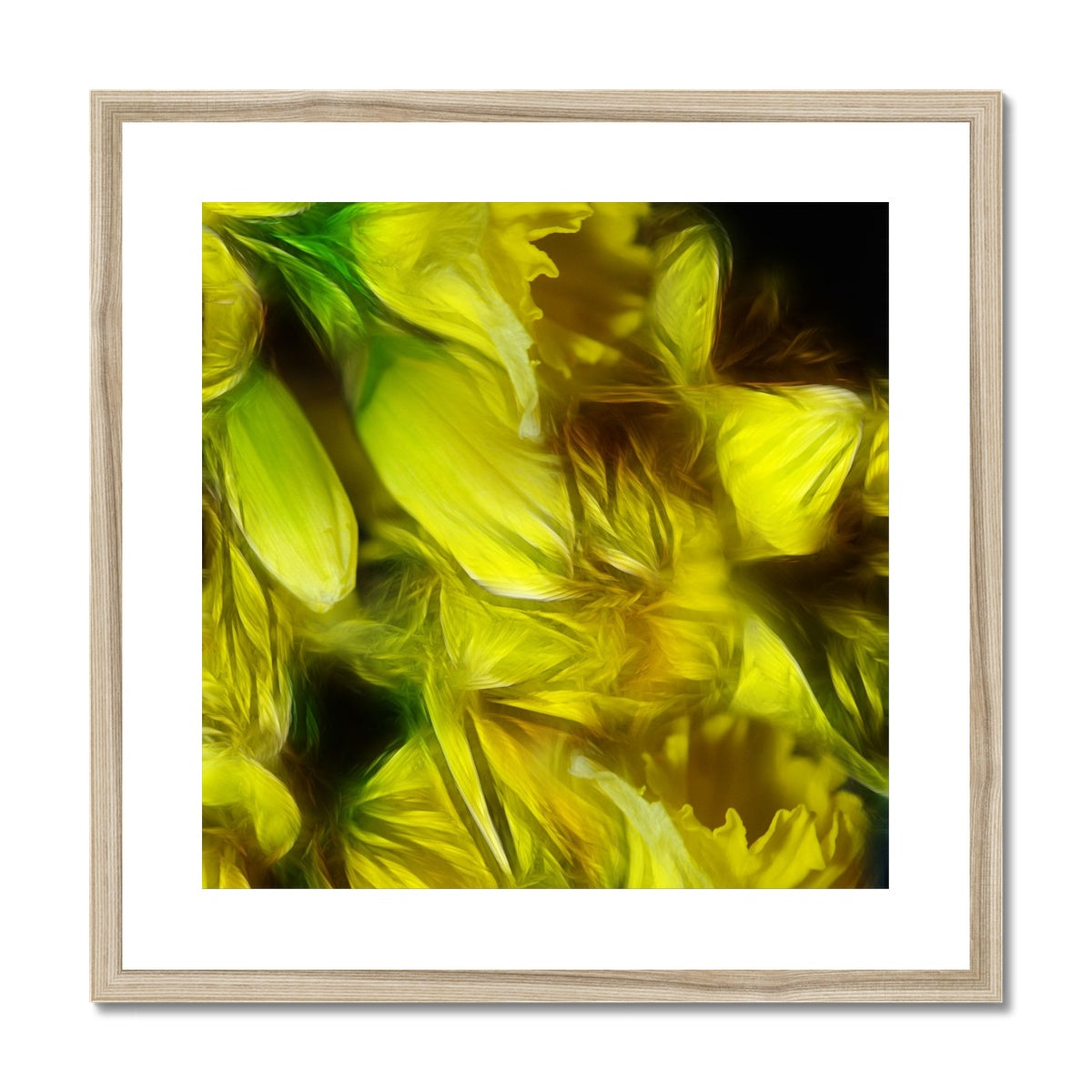 Abstract Yellow Daffodils Framed & Mounted Print
