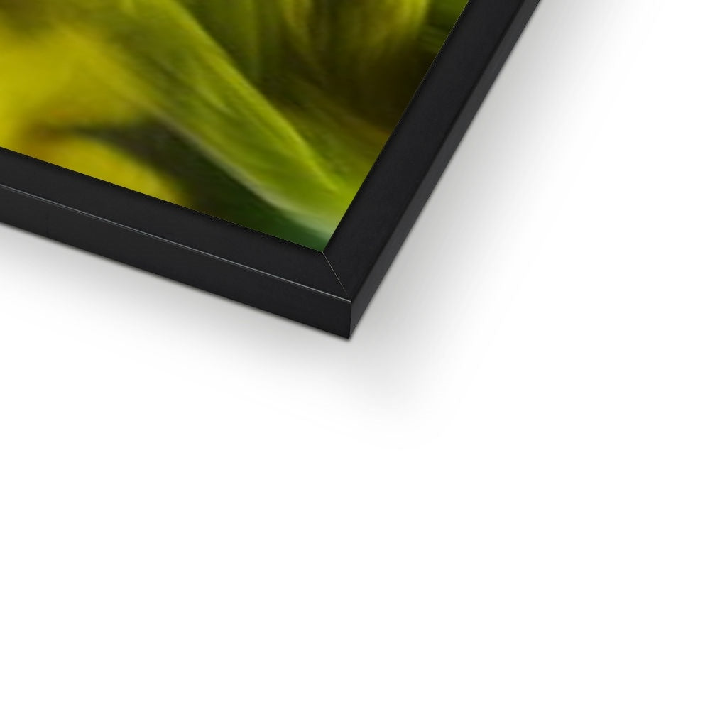 Abstract Yellow Daffodils Framed Print