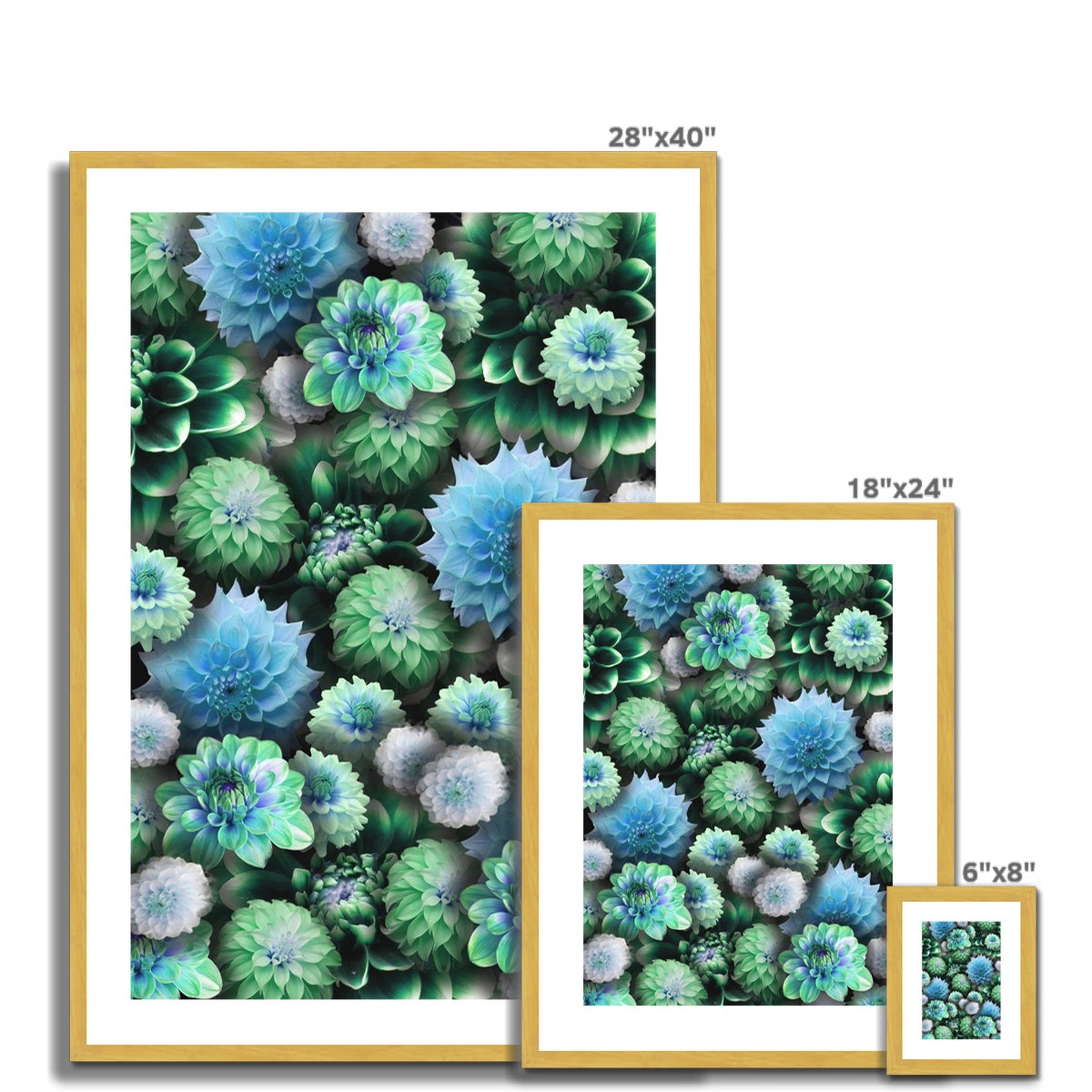 Blue Green Dahlias Antique Framed & Mounted Print