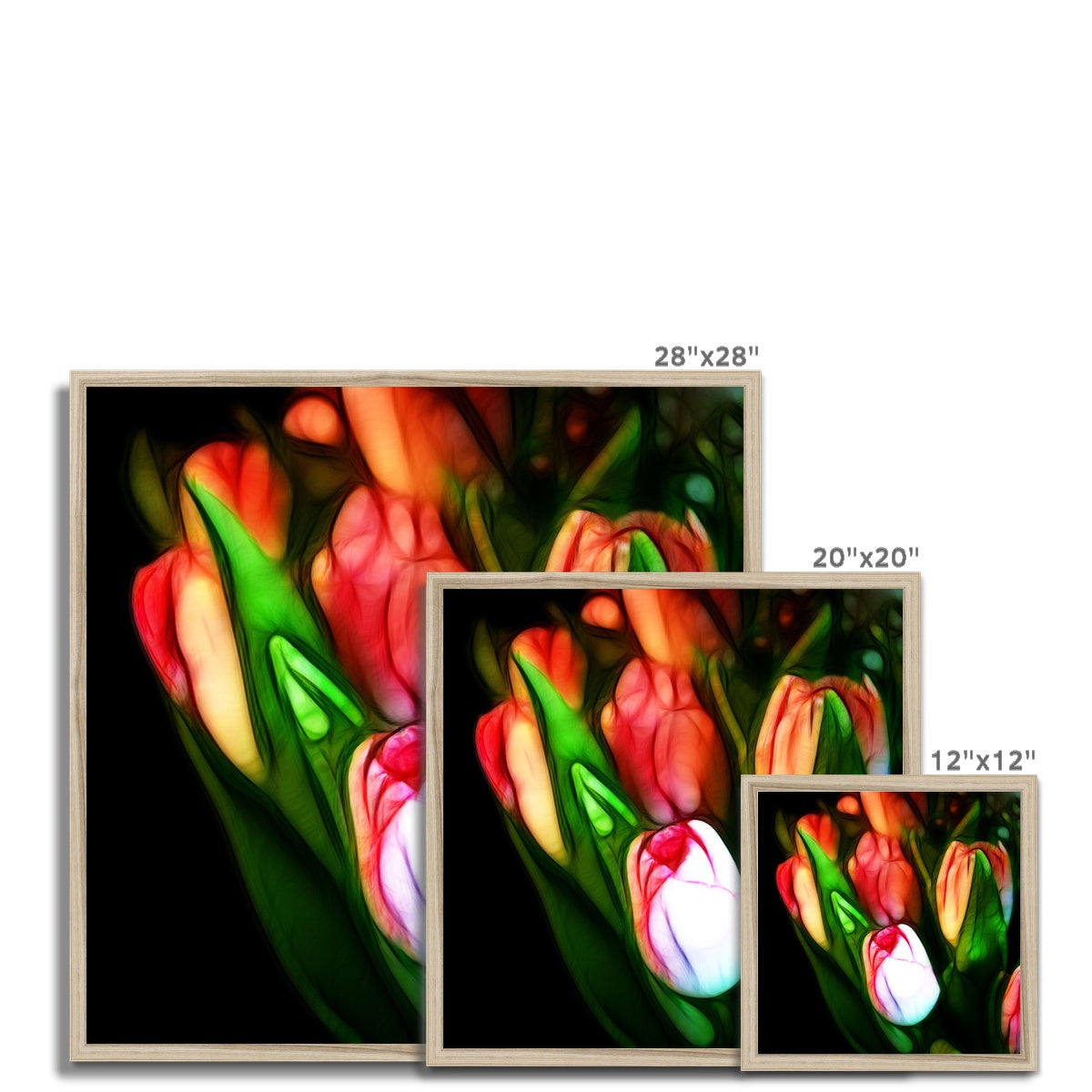 Pink Tulips Framed Print
