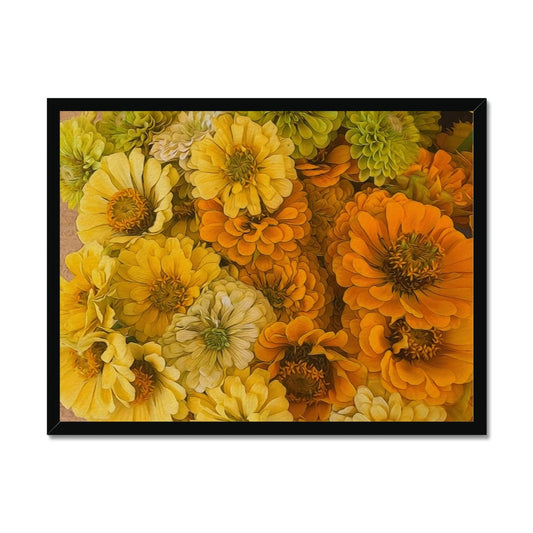 Yellow Zinnias Framed Print