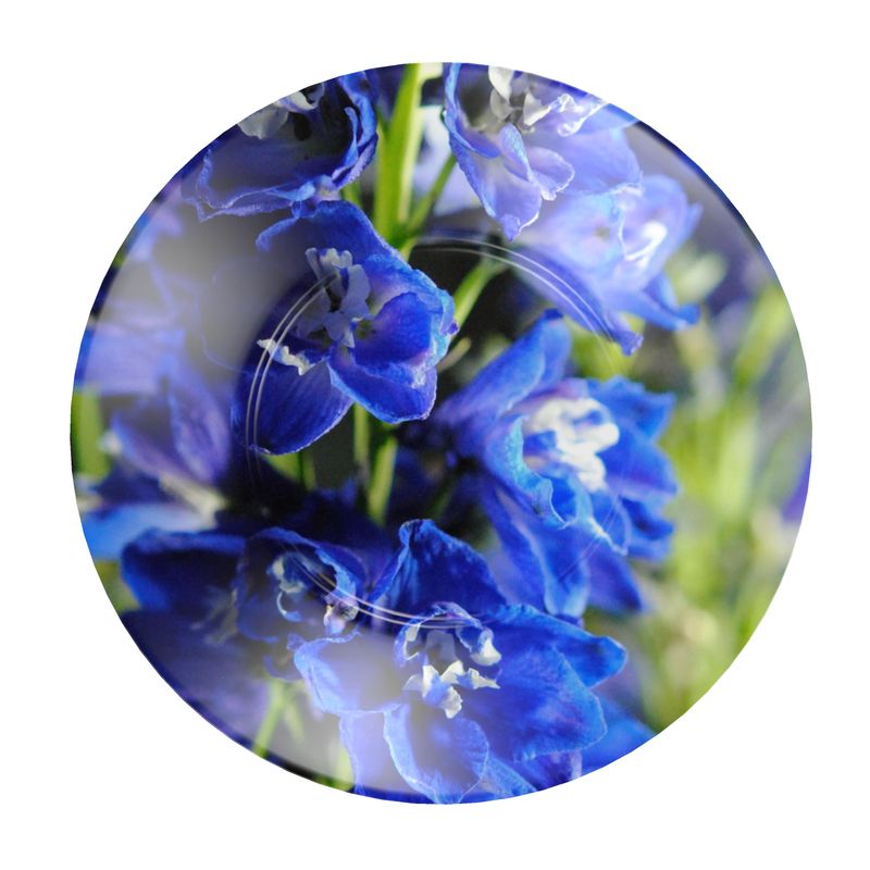 Blue Delphinium Cup and Saucer