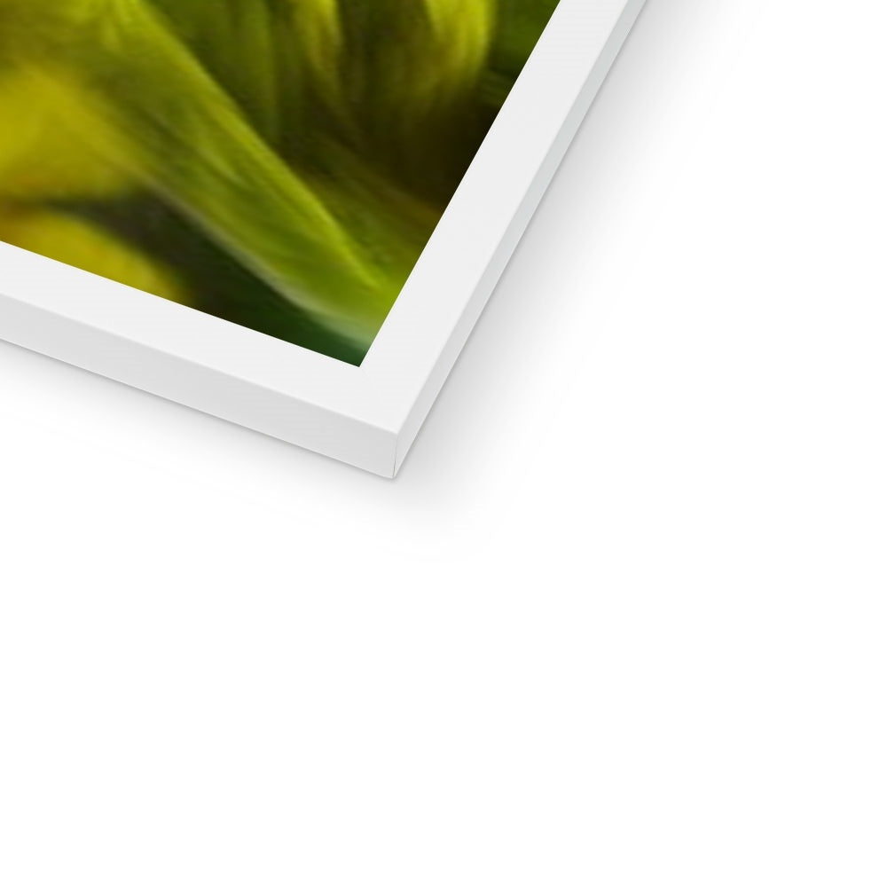 Abstract Yellow Daffodils Framed Print