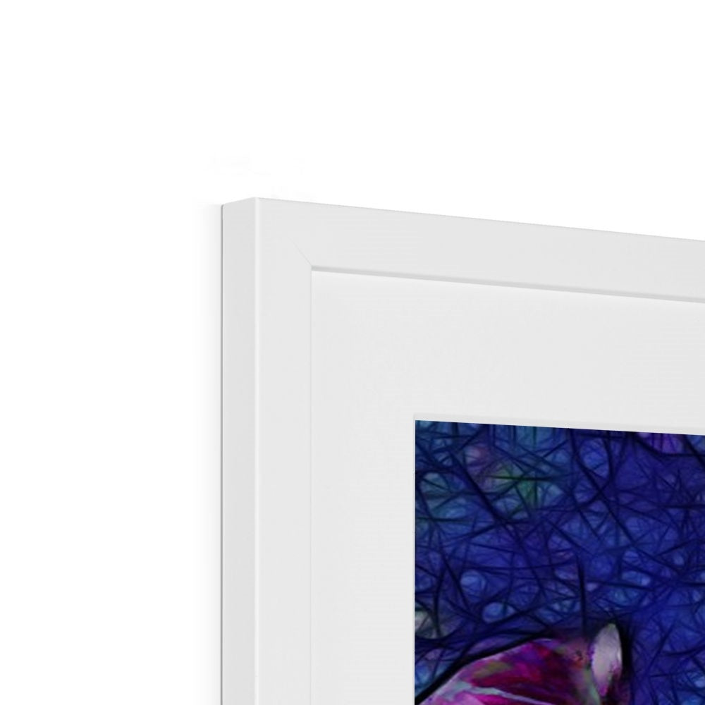 Abstract Pink Carnations Framed & Mounted Print