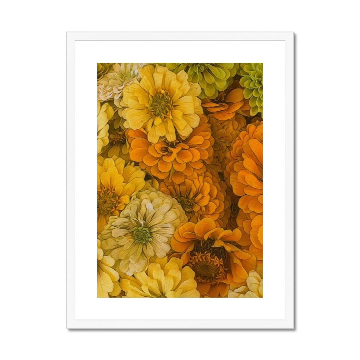 Yellow Zinnias Framed & Mounted Print