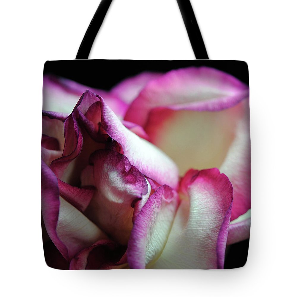 Pink Lined White Rose - Tote Bag