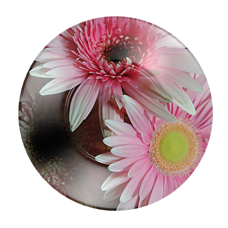 Pastel Pinks Florals and Stripes Cup and saucer Set