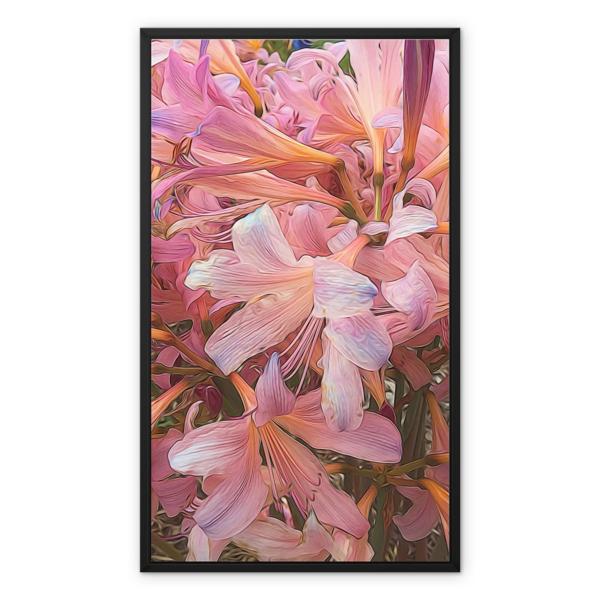 Pink Amaryllis Framed Canvas
