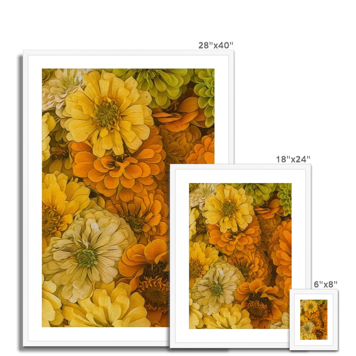 Yellow Zinnias Framed & Mounted Print