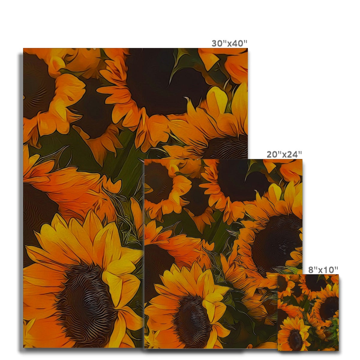 Sunflowers Canvas