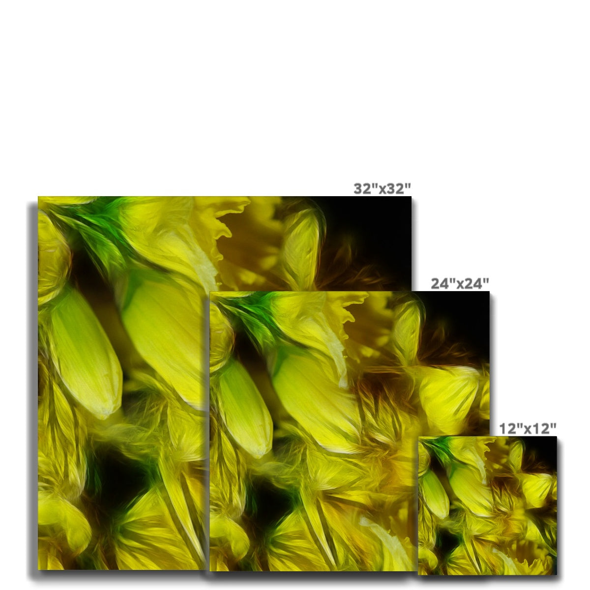 Abstract Yellow Daffodils Canvas
