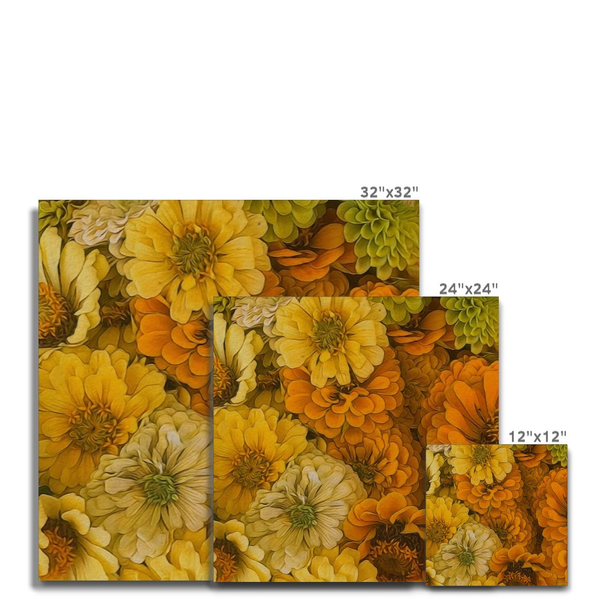 Yellow Zinnias Canvas