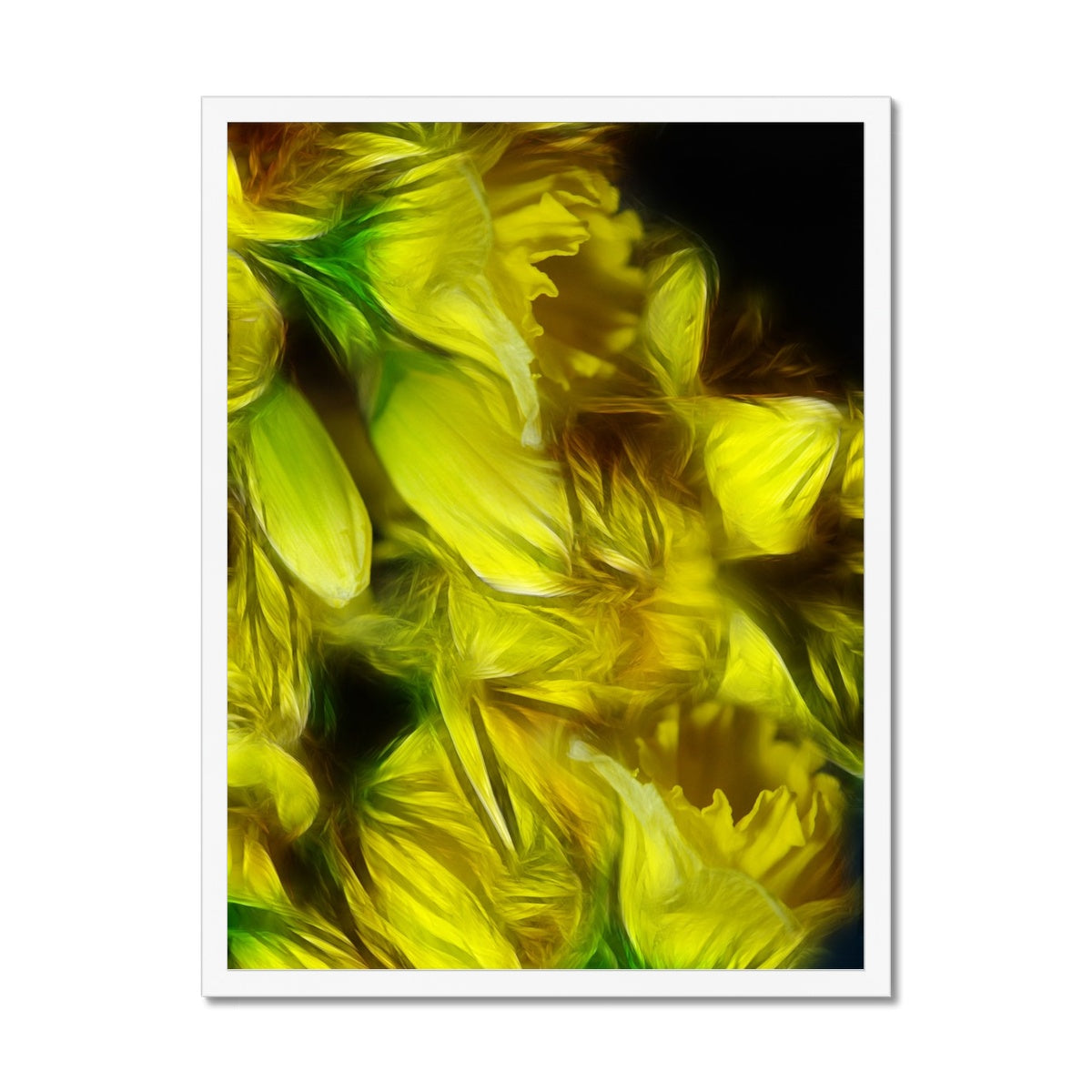 Abstract Yellow Daffodils Framed Print