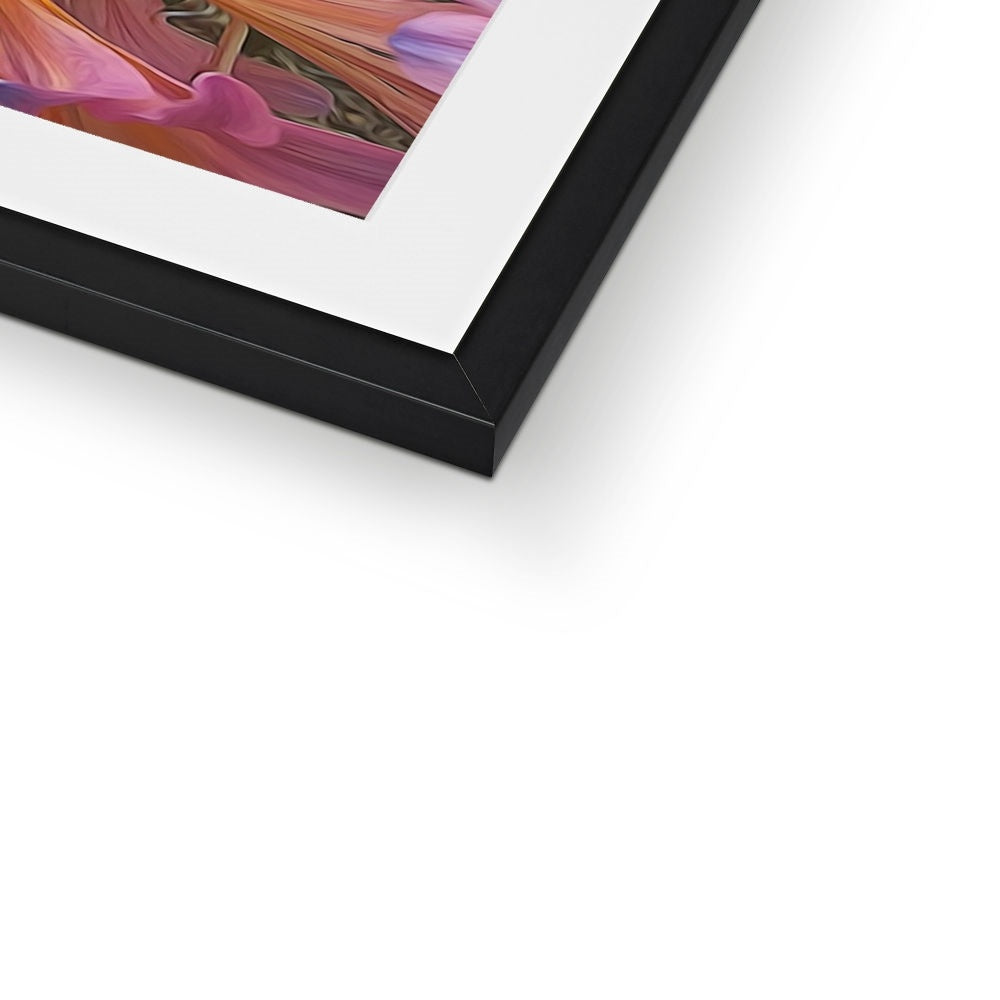 Pink Amaryllis Framed & Mounted Print