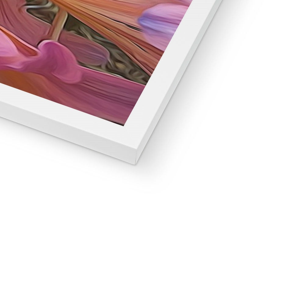 Pink Amaryllis Framed Print