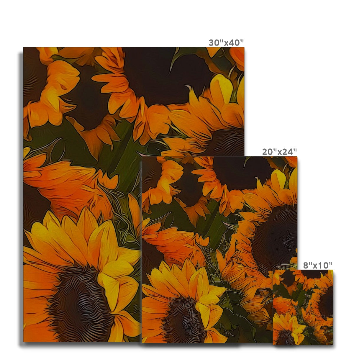 Sunflowers Canvas