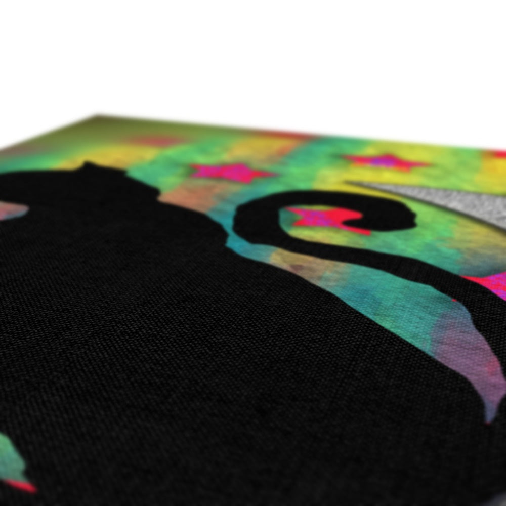 Cat On A Moon Eco Canvas
