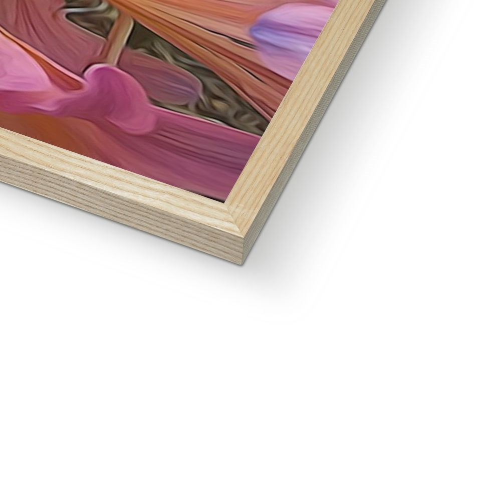 Pink Amaryllis Framed Print
