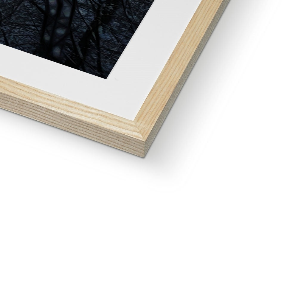 Twilight Icicles Framed & Mounted Print