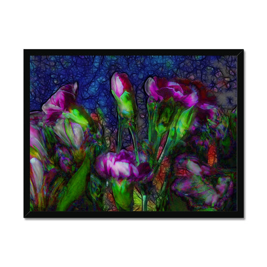 Abstract Pink Carnations Framed Print