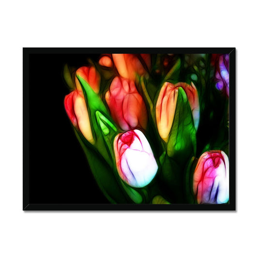 Pink Tulips Framed Print