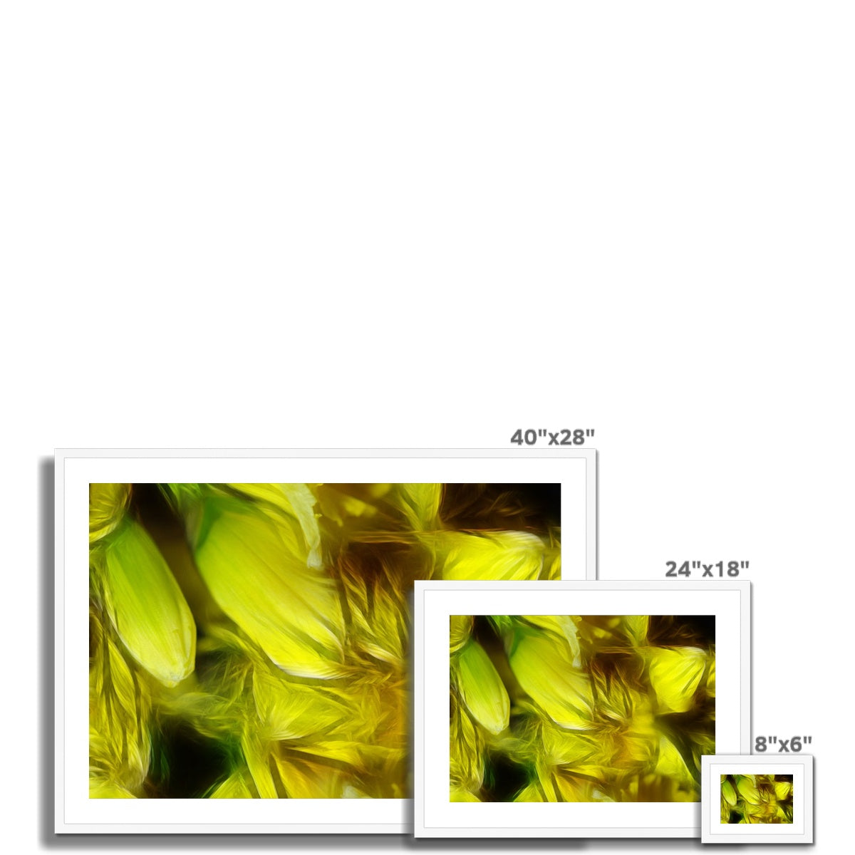 Abstract Yellow Daffodils Framed & Mounted Print