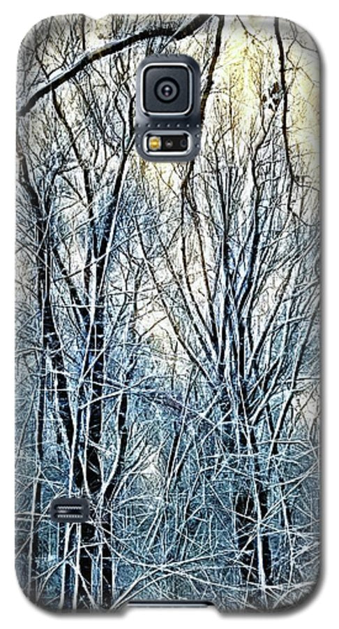 4 Oclock Winter Landscape - Phone Case