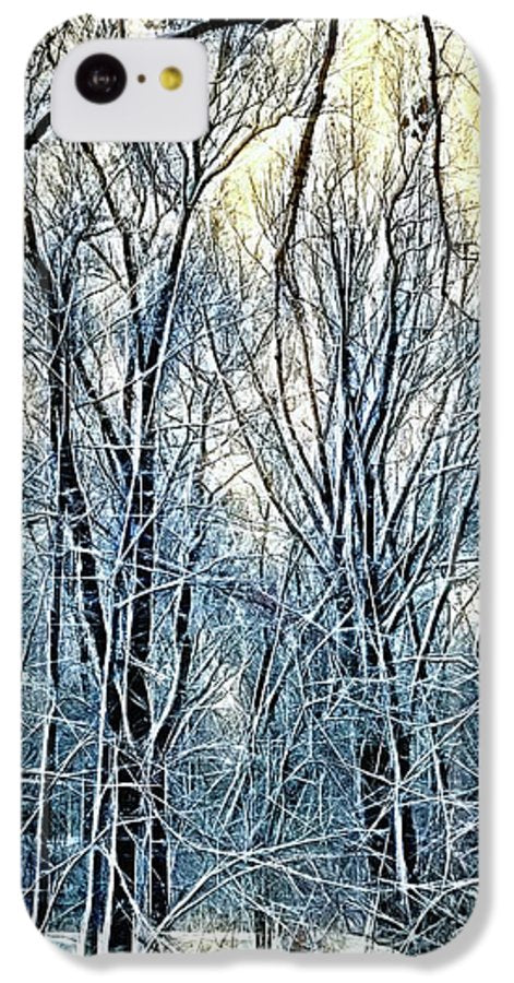 4 Oclock Winter Landscape - Phone Case