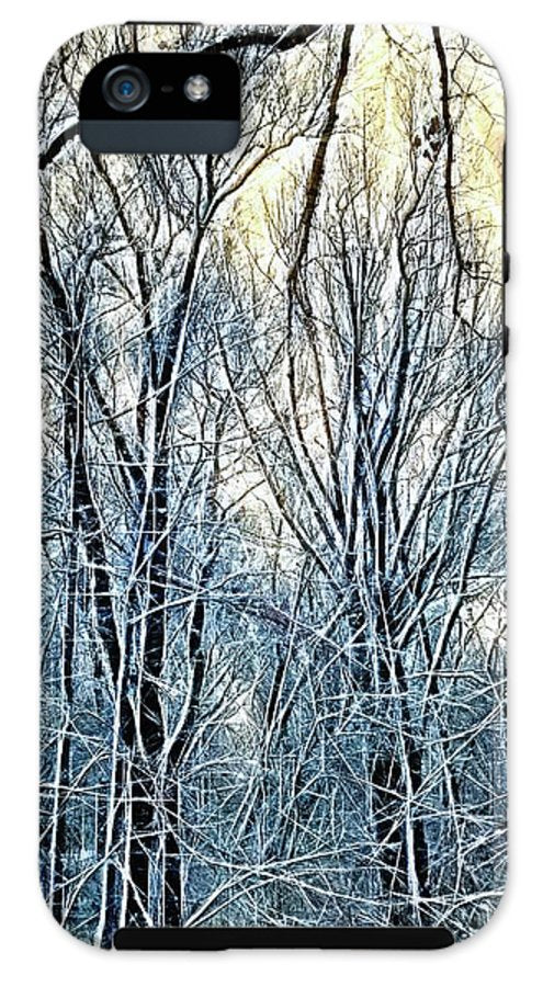 4 Oclock Winter Landscape - Phone Case