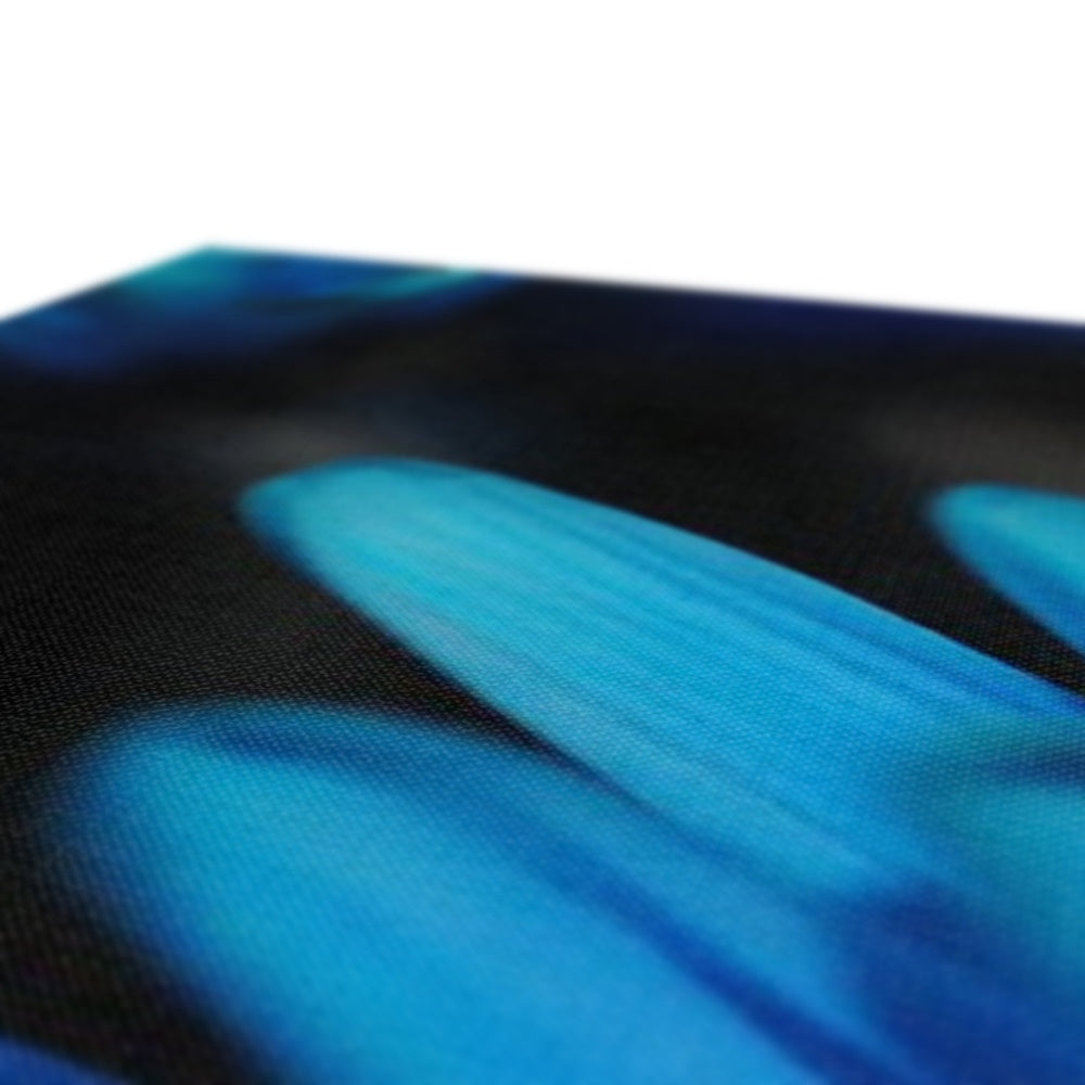 Blue Daisy Canvas