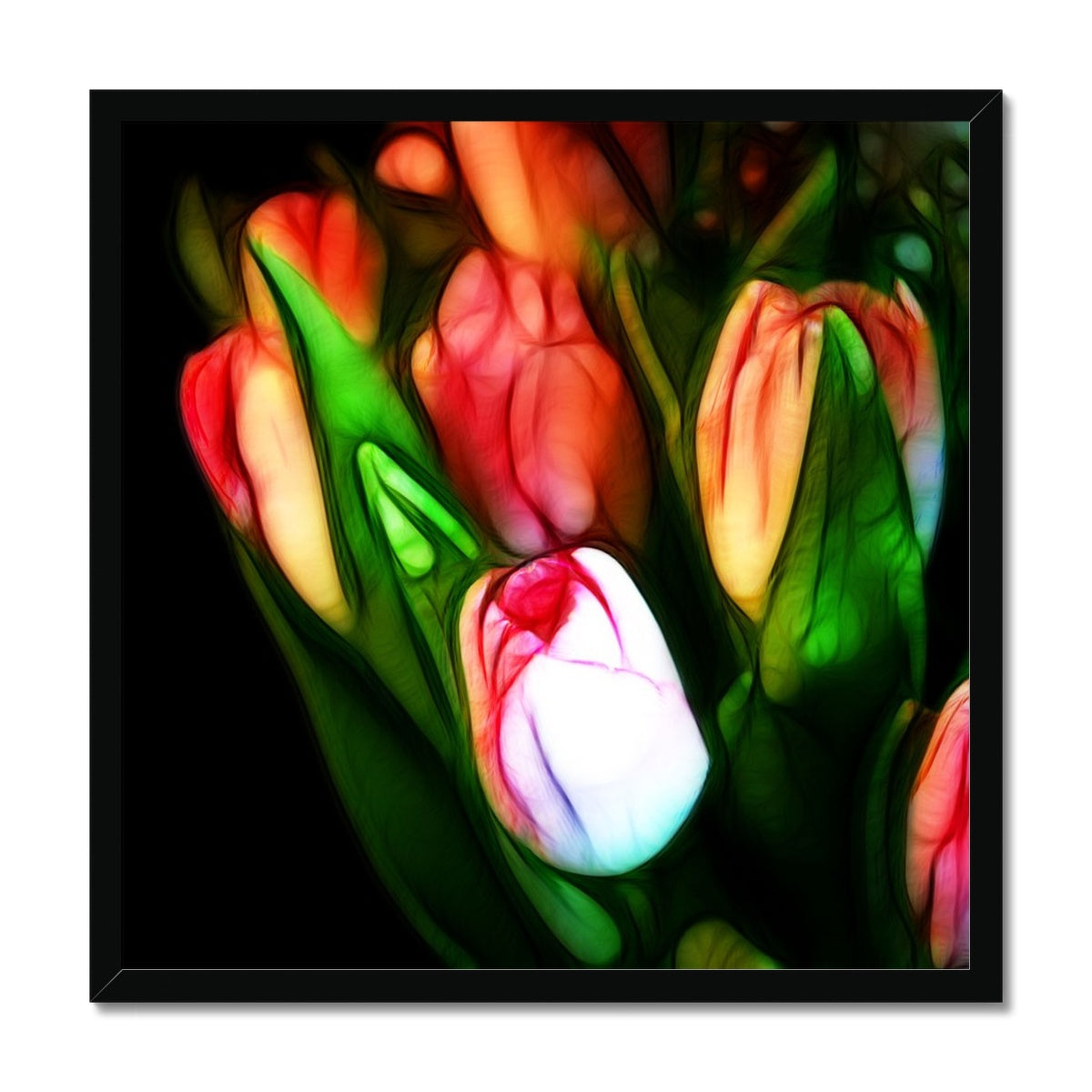 Pink Tulips Framed Print