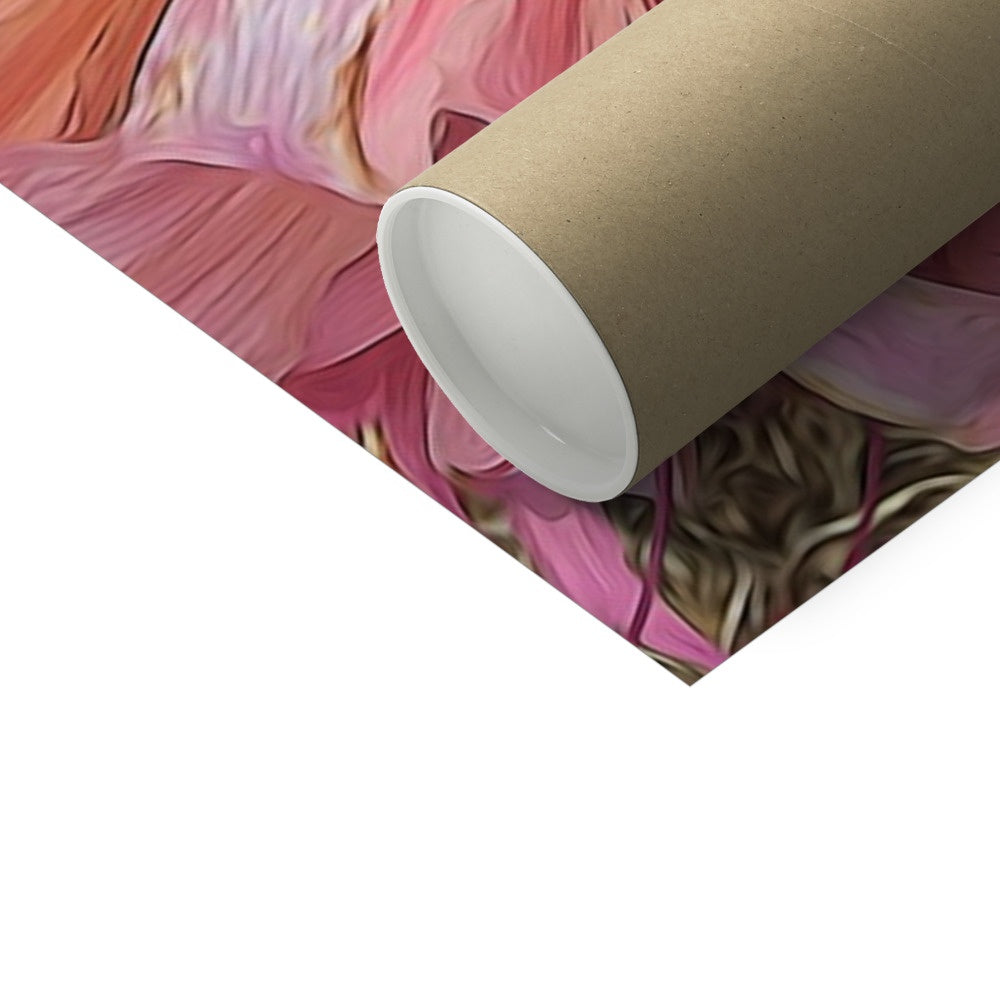 Pink Amaryllis Fine Art Print