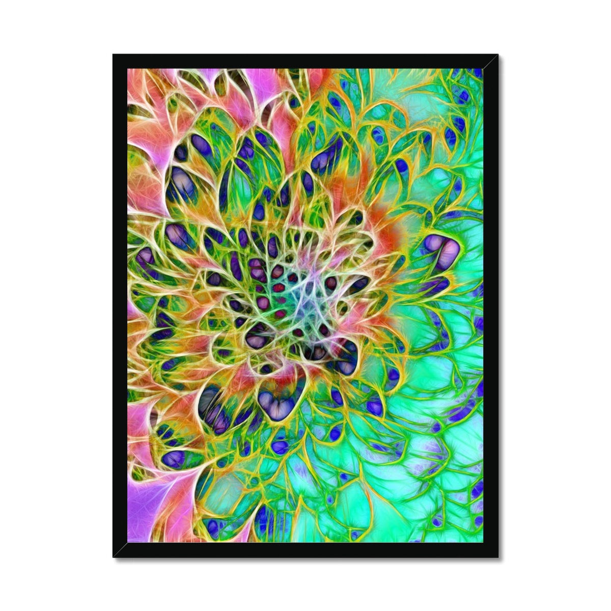 Abstract Peacock Chrysanthemum Framed Print