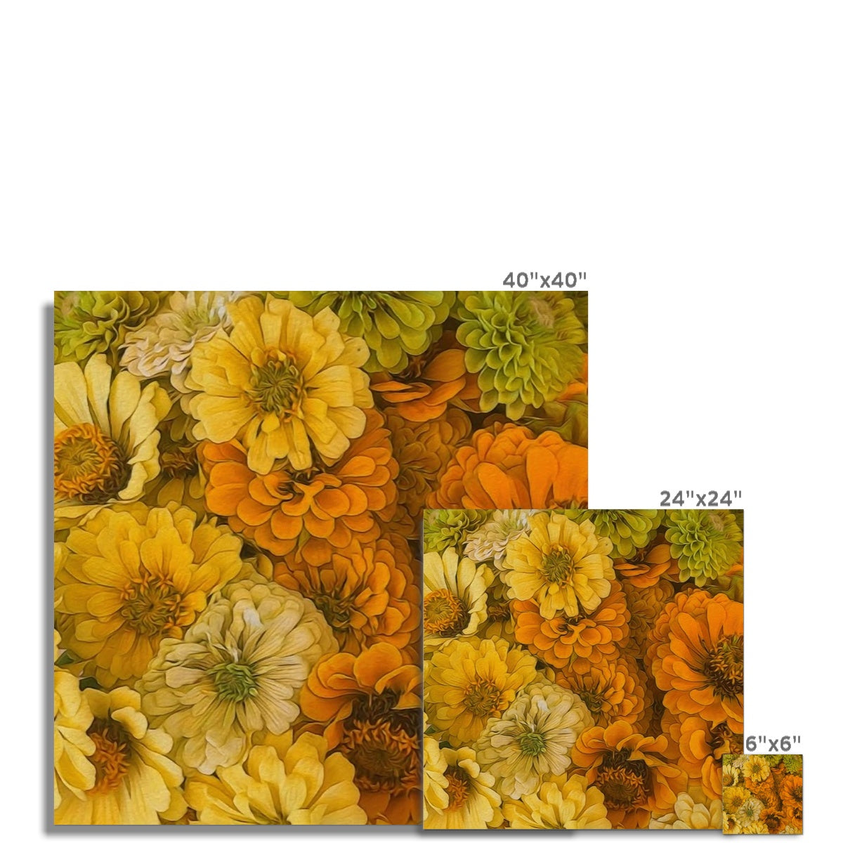 Yellow Zinnias Hahnemühle Photo Rag Print