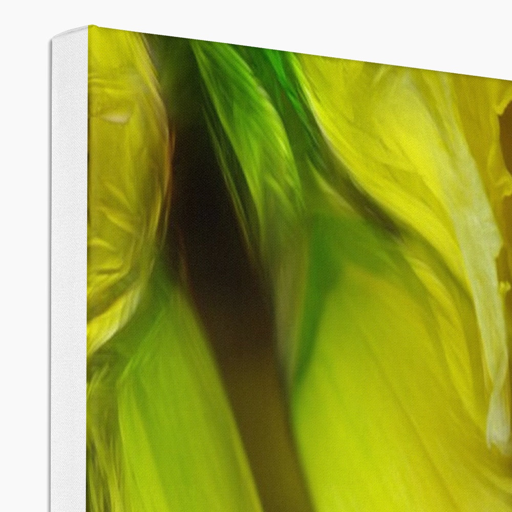 Abstract Yellow Daffodils Canvas