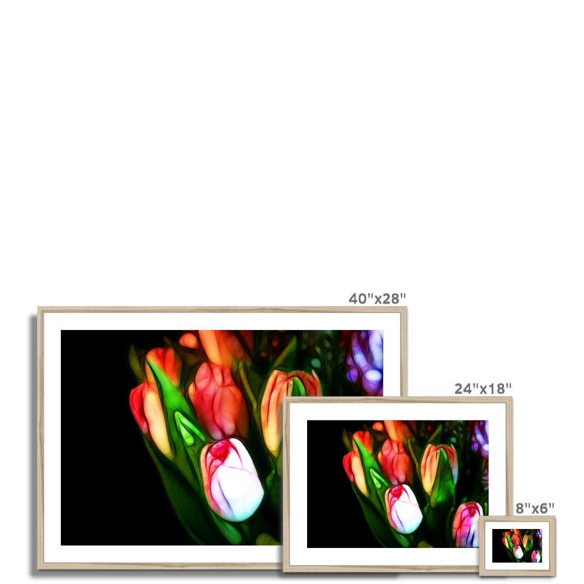 Pink Tulips Framed & Mounted Print