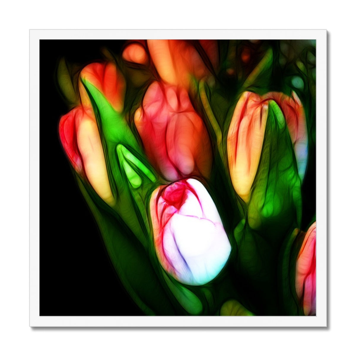 Pink Tulips Framed Print