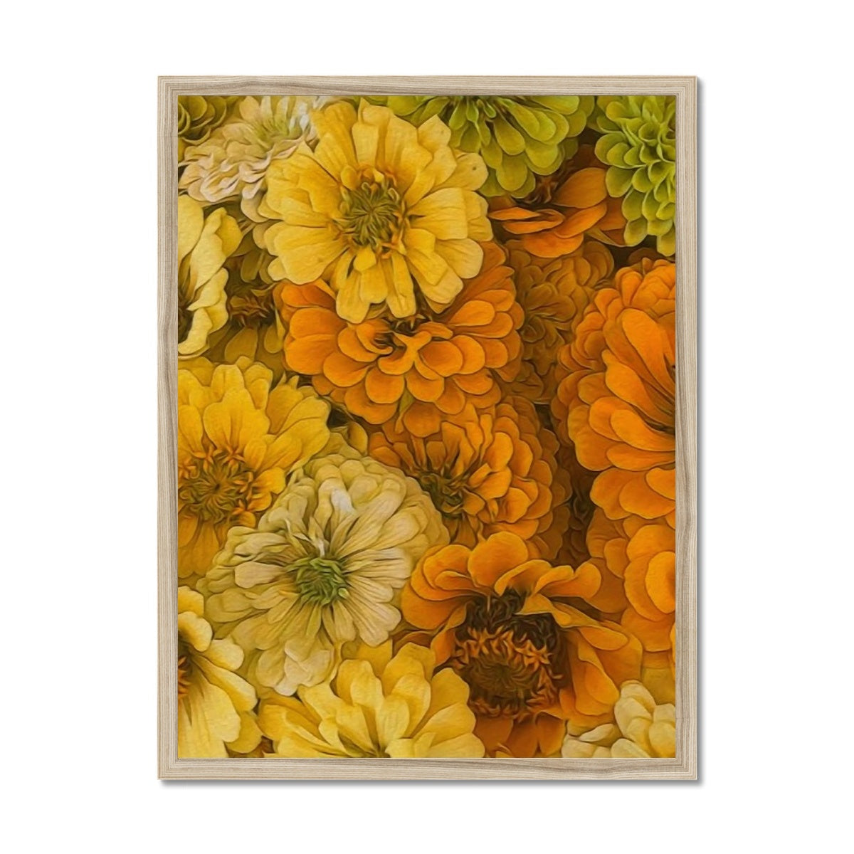 Yellow Zinnias Framed Print