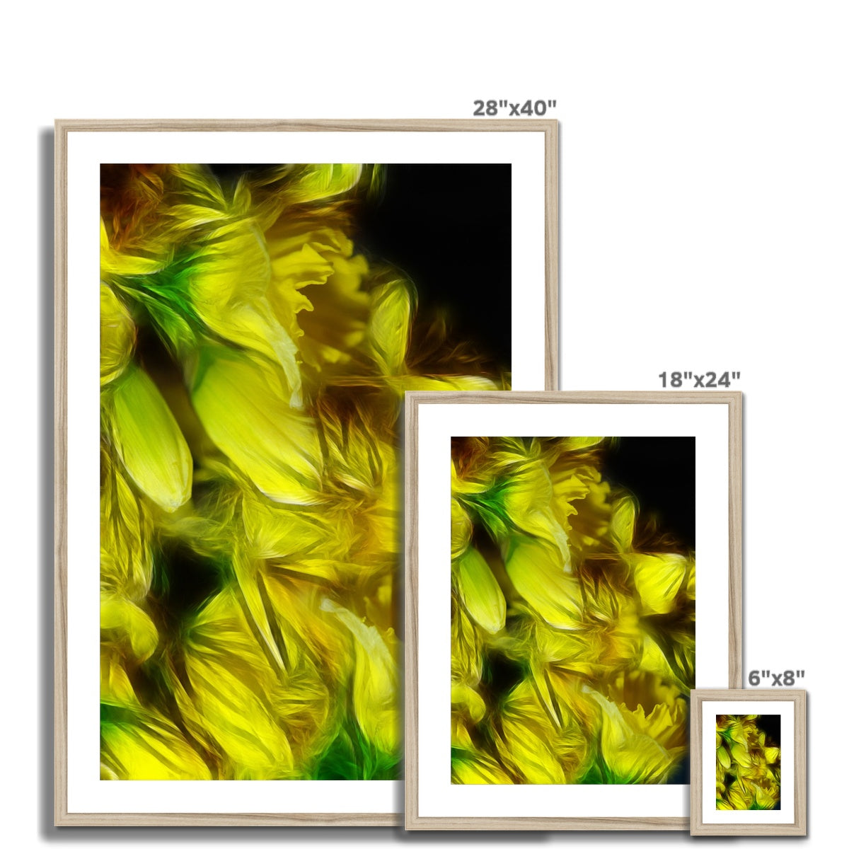 Abstract Yellow Daffodils Framed & Mounted Print