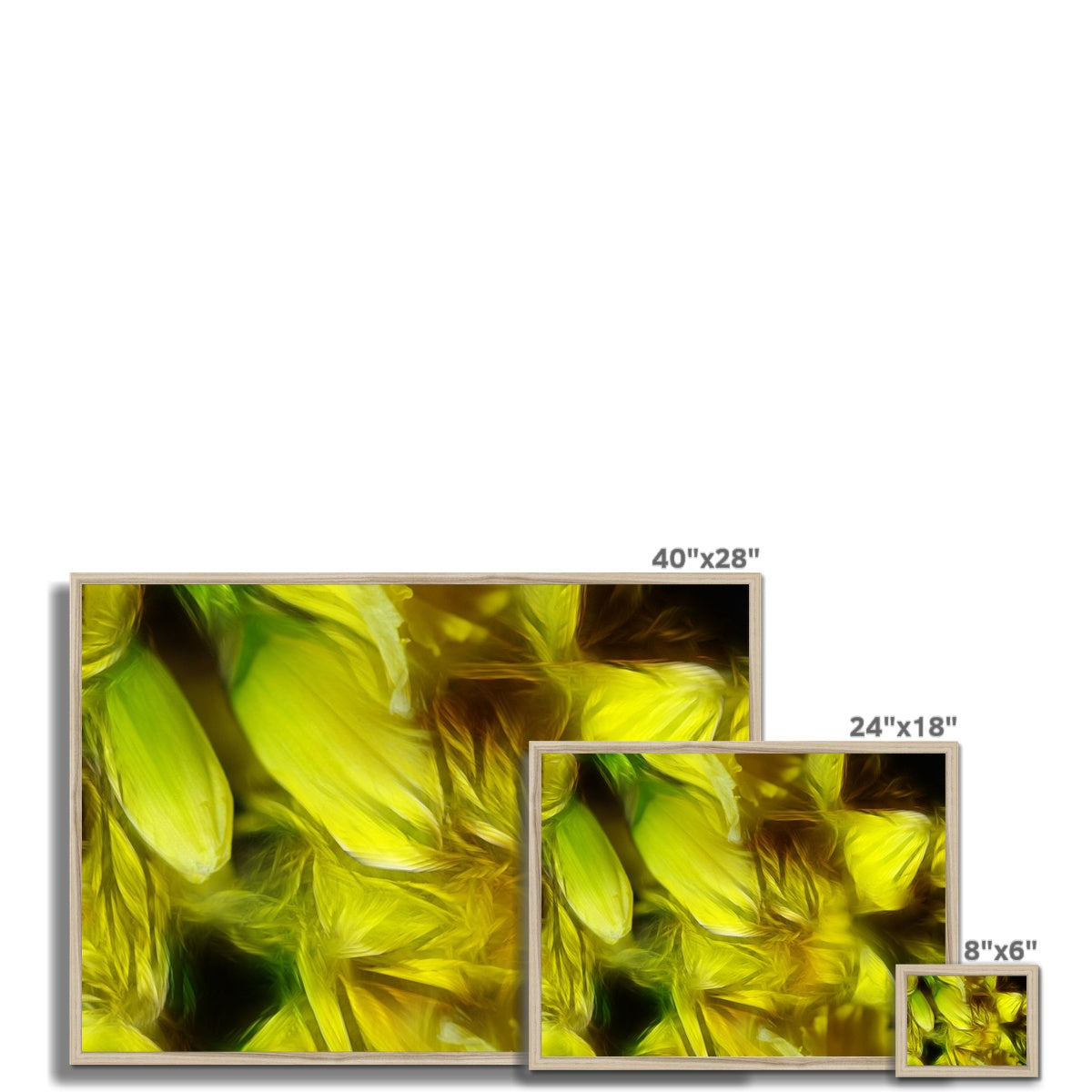 Abstract Yellow Daffodils Framed Print