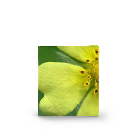 generated-preview-0