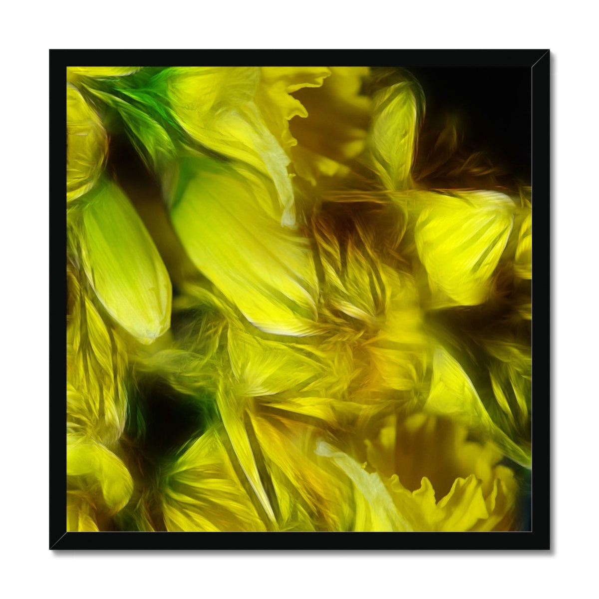 Abstract Yellow Daffodils Framed Print