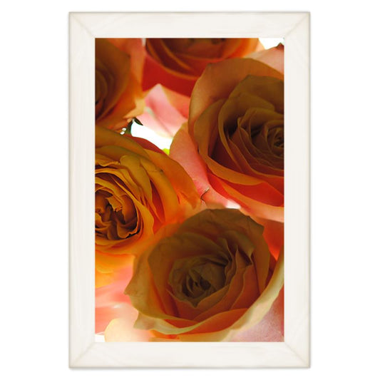 Pink and Orange Roses Quilt